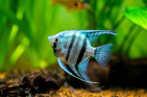 shutterstock_2270803133 (1)
