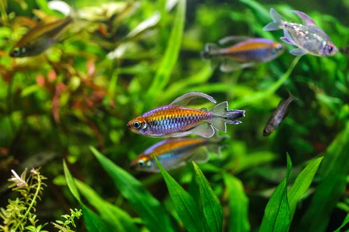 shutterstock_2427525879 (1)