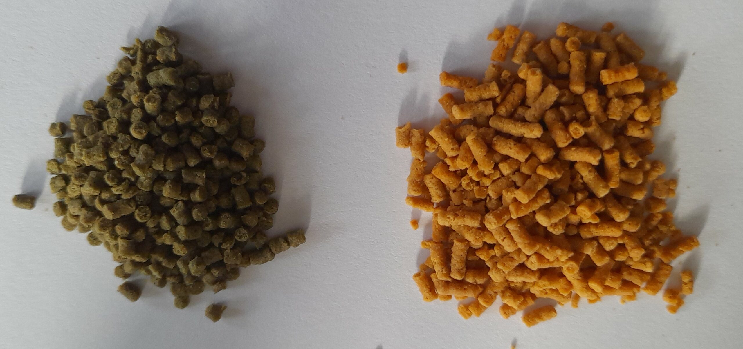 Pellet für Garnelen und Bodenfische