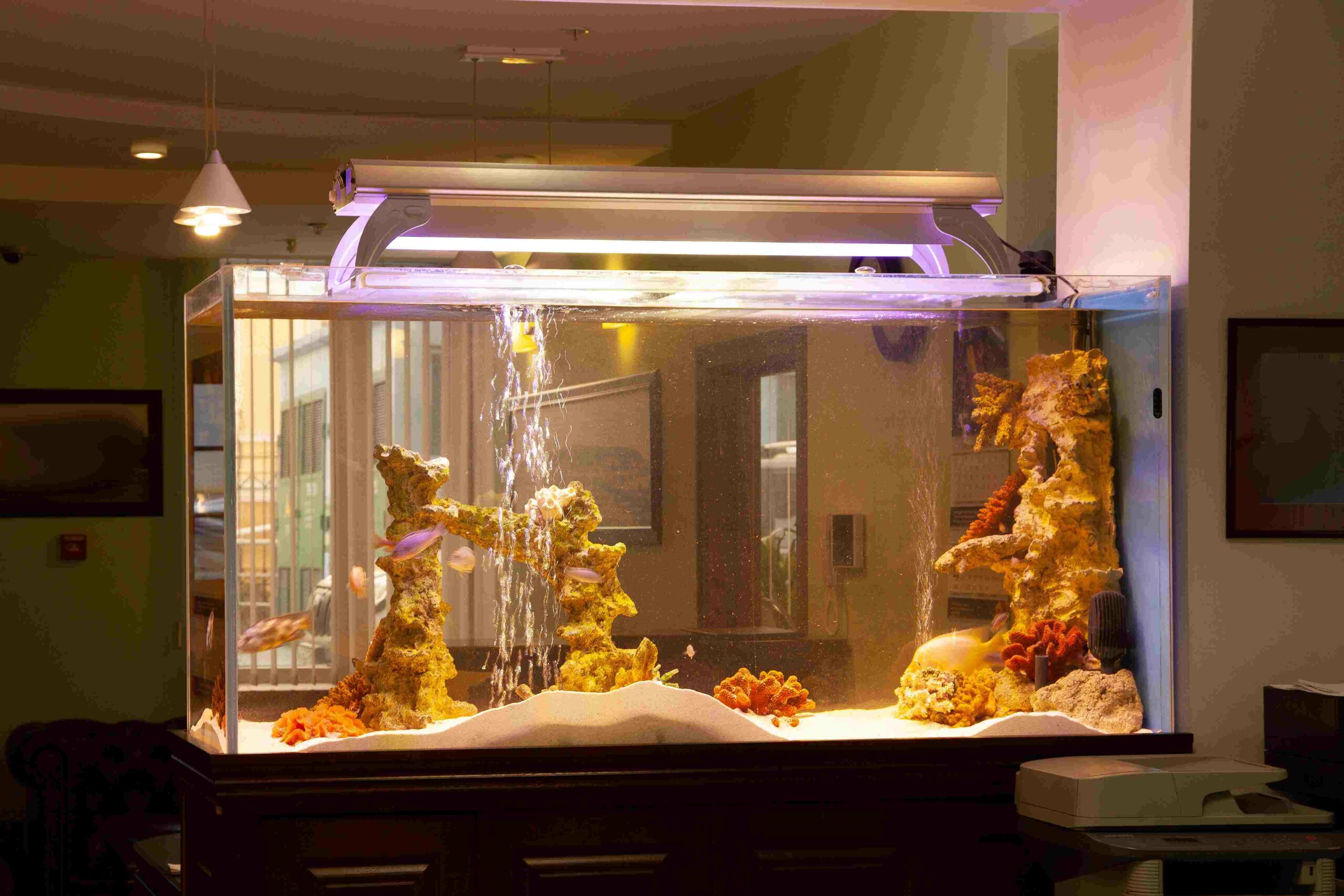 Beispiel für Aquarienbeleuchtung